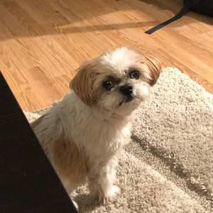 Meet your Posher, Kate